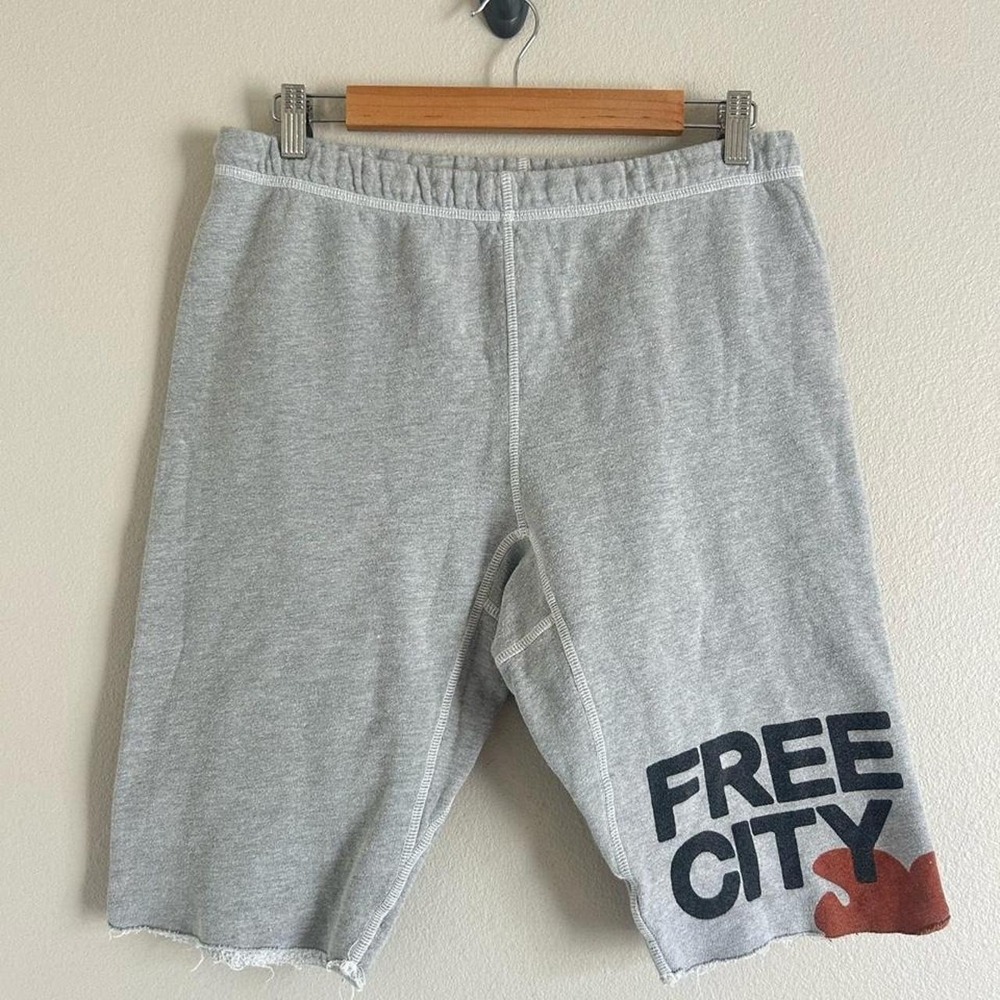 Free City gray sweat shorts XL
